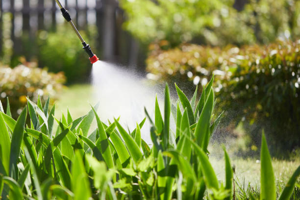 Tamper-Resistant Bait Stations for Rodents in Charleston