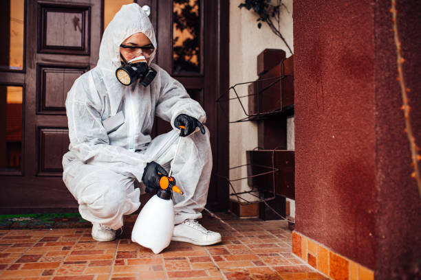 Attic and Crawl Space Rodent Treatment in Charleston