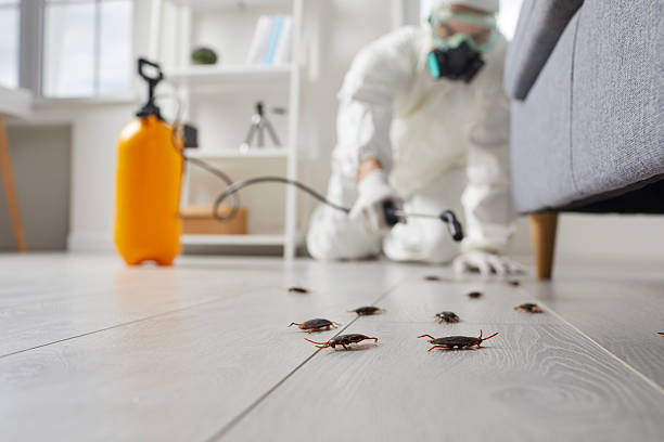 Commercial Rodent Management in Charleston